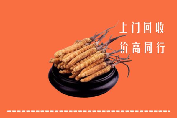 高价求购：东洲区回收散虫草