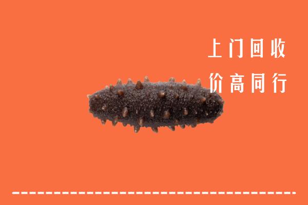 高价求购：东洲区回收海参